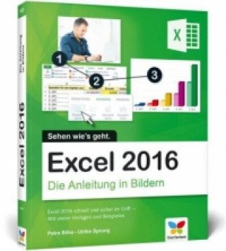 Kniha Excel 2016 Petra Bilke