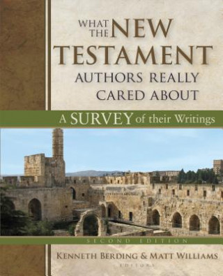 Könyv What the New Testament Authors Really Cared About Kenneth Berding