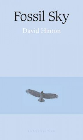 Könyv Fossil Sky David Hinton