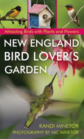 Kniha New England Bird Lover's Garden Randi Minetor