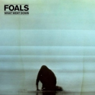 Audio What Went Down, 1 Audio-CD Foals