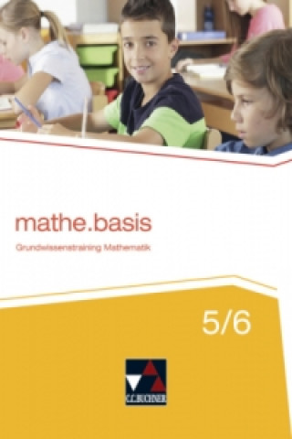 Knjiga Mathe.Basis 5/6, m. 1 Buch Ulrike Schätz