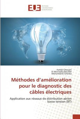 Könyv Methodes D Amelioration Pour Le Diagnostic Des Cables Electriques 