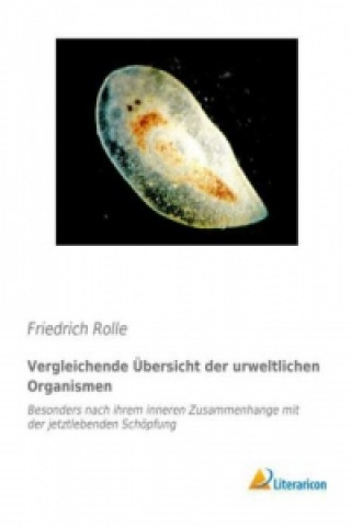 Книга Vergleichende Übersicht der urweltlichen Organismen Friedrich Rolle