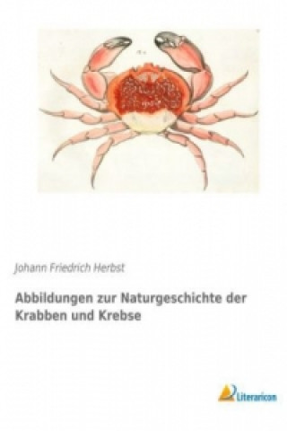 Kniha Abbildungen zur Naturgeschichte der Krabben und Krebse Johann Friedrich Herbst