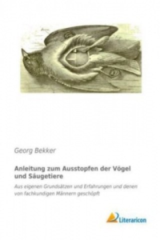 Book Anleitung zum Ausstopfen der Vögel und Säugetiere Georg Bekker