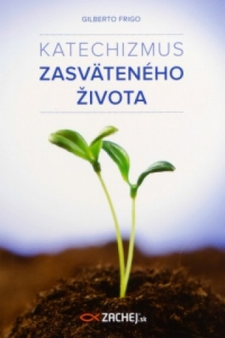 Book Katechizmus zasväteného života Gilberto Frigo