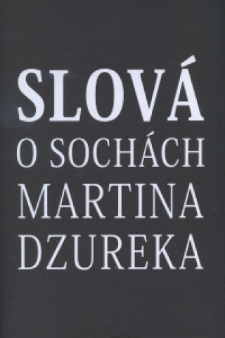 Book Slová o sochách Martina Dzureka collegium