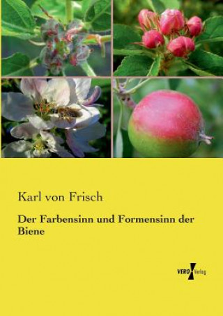 Carte Farbensinn und Formensinn der Biene Karl Von Frisch