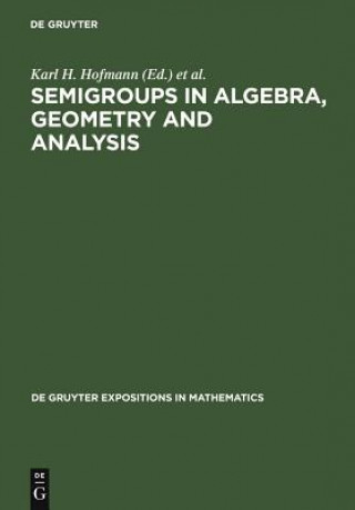Knjiga Semigroups in Algebra, Geometry and Analysis Karl H. Hofmann