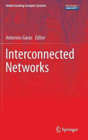 Książka Interconnected Networks Antonios Garas