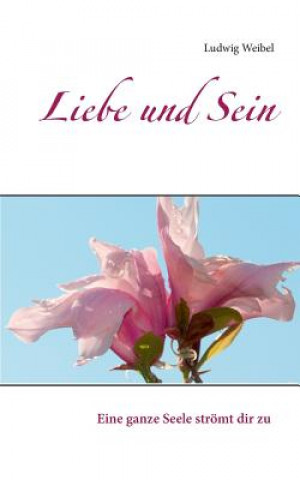 Book Liebe und Sein Ludwig Weibel