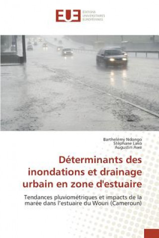 Carte Determinants Des Inondations Et Drainage Urbain En Zone d'Estuaire 