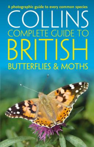 Könyv British Butterflies and Moths Paul Sterry