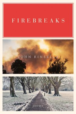 Kniha Firebreaks John Kinsella