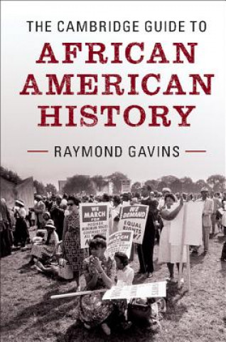 Kniha Cambridge Guide to African American History Raymond Gavins