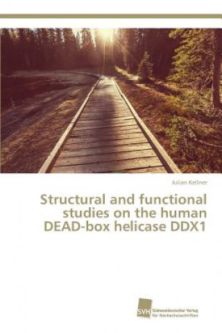 Książka Structural and functional studies on the human DEAD-box helicase DDX1 Kellner Julian