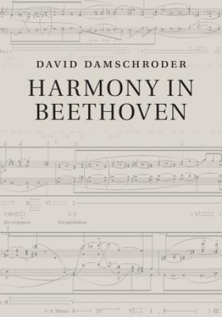 Książka Harmony in Beethoven David Damschroder