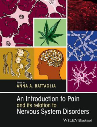 Könyv Introduction to Pain and its relation to Nervous System Disorders Anna Battaglia