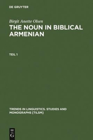 Kniha Noun in Biblical Armenian Birgit Anette Olsen