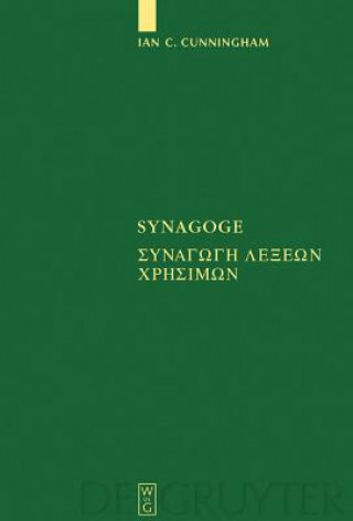 Könyv Synagoge Ian C. Cunningham