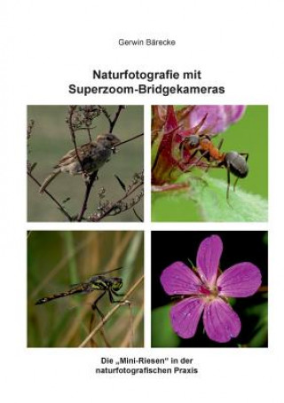 Knjiga Naturfotografie mit Superzoom-Bridgekameras Gerwin Barecke