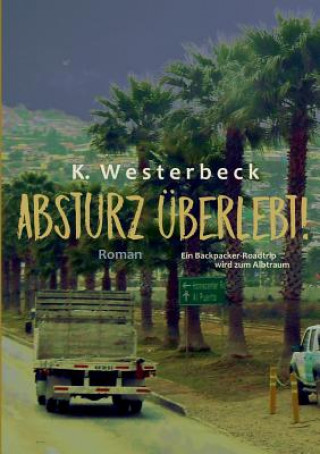 Kniha Absturz uberlebt! Kerstin Westerbeck