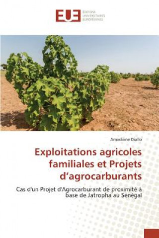 Carte Exploitations agricoles familiales et Projets d'agrocarburants Diallo Amadiane