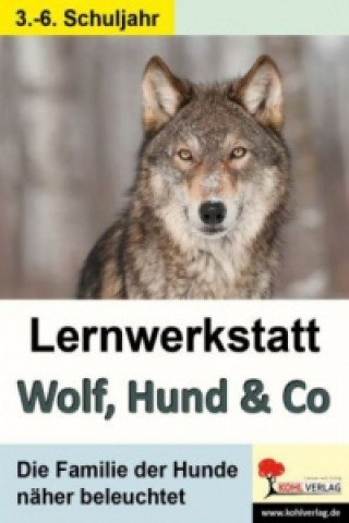 Könyv Lernwerkstatt Wolf, Hund & Co Birgit Brandenburg