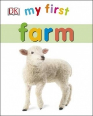 Könyv My First Farm DK