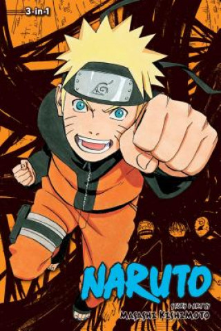 Kniha Naruto (3-in-1 Edition), Vol. 13 Masashi Kishimoto