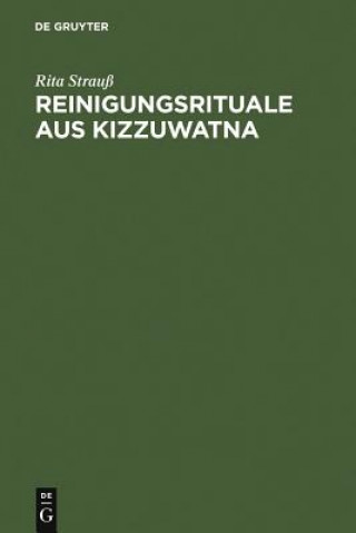 Książka Reinigungsrituale aus Kizzuwatna Rita Strauss