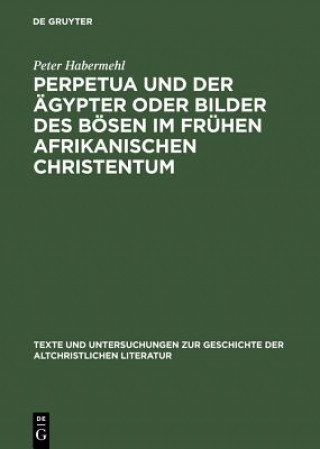 Buch Perpetua und der AEgypter oder Bilder des Boesen im fruhen afrikanischen Christentum Peter Habermehl