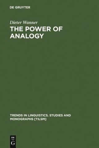 Könyv Power of Analogy Dieter Wanner