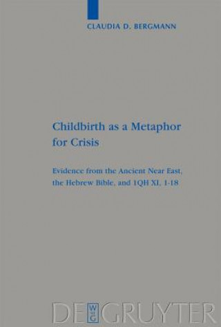 Kniha Childbirth as a Metaphor for Crisis Claudia D. Bergmann