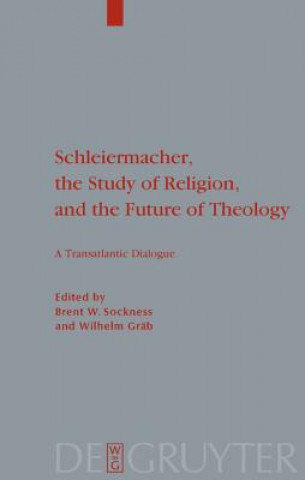 Könyv Schleiermacher, the Study of Religion, and the Future of Theology Brent W. Sockness