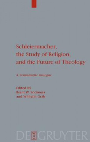 Книга Schleiermacher, the Study of Religion, and the Future of Theology Brent W. Sockness