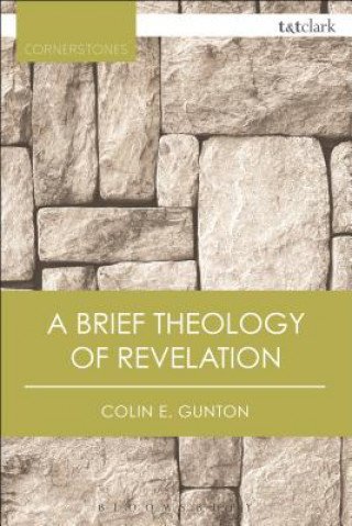 Buch Brief Theology of Revelation Colin E Gunton