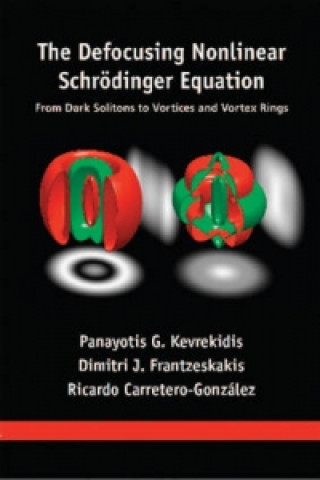 Kniha Defocusing Nonlinear Schrodinger Equation P. G. Kevrekidis