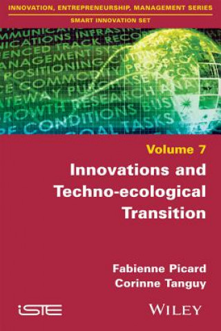 Livre Innovations and Techno-ecological Transition Fabienne Picard