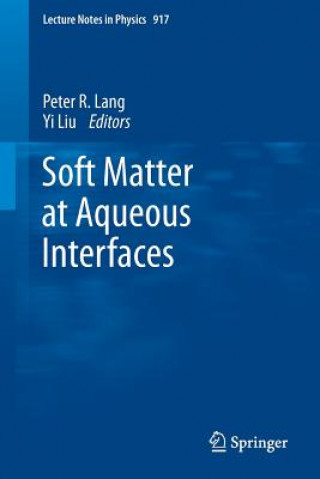 Kniha Soft Matter at Aqueous Interfaces Peter Lang