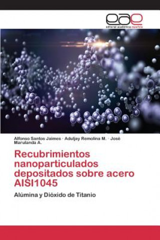 Könyv Recubrimientos nanoparticulados depositados sobre acero AISI1045 Santos Jaimes Alfonso
