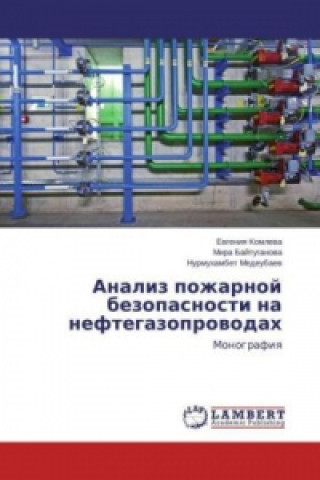 Kniha Analiz pozharnoj bezopasnosti na neftegazoprovodah Evgeniya Komleva