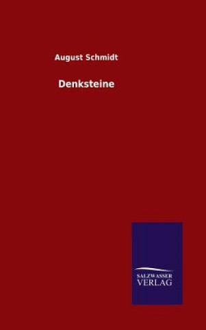 Book Denksteine August Schmidt