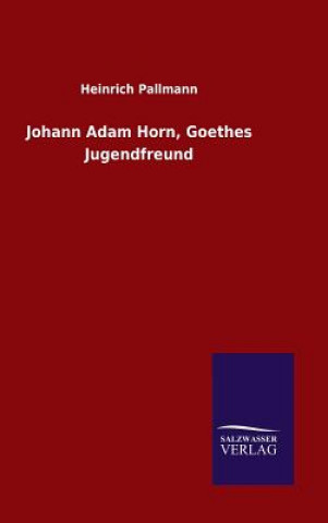 Könyv Johann Adam Horn, Goethes Jugendfreund Heinrich Pallmann