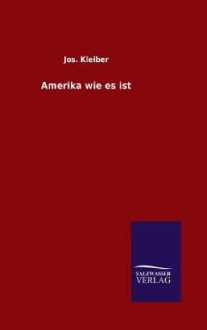 Book Amerika wie es ist Jos Kleiber