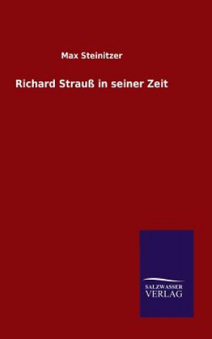 Libro Richard Strauss in seiner Zeit Max Steinitzer