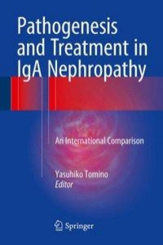 Kniha Pathogenesis and Treatment in IgA Nephropathy Yasuhiko Tomino