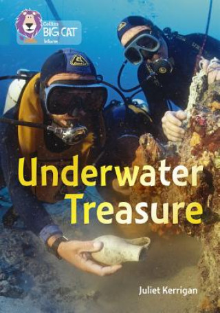 Kniha Underwater Treasure Juliet Kerrigan