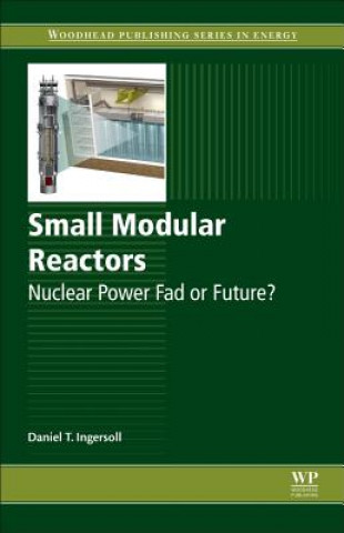 Könyv Small Modular Reactors Daniel Ingersoll